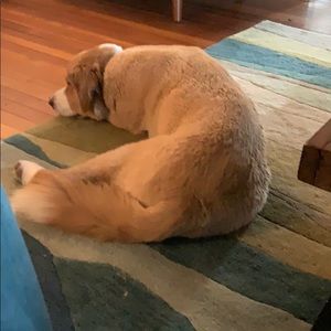 Meet your Posher, Keegan